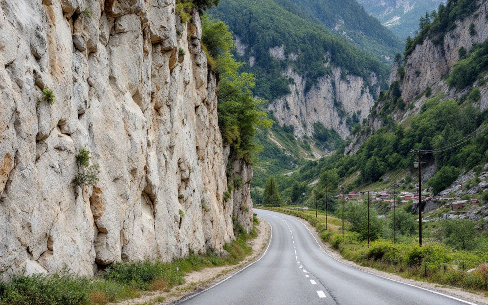 A pale limestone rock wall above a forested valley